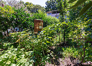 Срочная продажа дом с  земельным участком в Адлере (Сириус) Сочи г, Цветочная фото 21