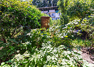 Срочная продажа дом с  земельным участком в Адлере (Сириус) Сочи г, Цветочная фото 19
