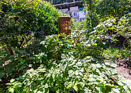 Срочная продажа дом с  земельным участком в Адлере (Сириус) Сочи г, Цветочная фото 20