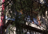 Квартира в Заречном районе Сочи г, Красноармейская фото 2
