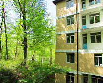 Квартира с видом на парк в Сочи