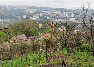 Участок с видом на город Сочи г, Пасечная фото 6