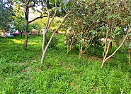 Продаю земельный участок в Адлере с видом на Олимпийский парк Сочи г, Школьная фото 7