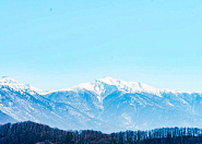 КП Альпийский Парк Сочи, Красная Воля с; Володи Ульянова фото 14
