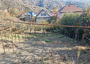 Продажа земельного участка в Вардане Сочи г, Королек снт фото 4