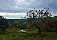 Продаю земельный участок в Адлере Сочи г, Нижняя Шиловка с, Светогорская фото 1