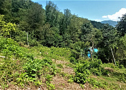 Продаю земельный участок в Галицыно Сочи г, Галицыно с, Батайская фото 3