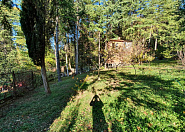 Дом с хвойным лесом в Сочи Сочи г, Батумское шоссе фото 19