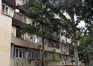Продается отличная квартира в Сочи Сочи г, Чебрикова фото 11