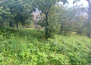 Земельный участок в Лазаревском районе Сочи г, Солохаул с, Кошмана фото 1