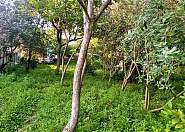 Продаю земельный участок в Адлере с видом на Олимпийский парк Сочи г, Школьная фото 4