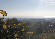 Участок в Адлере с видом на море Сочи г, Нижняя Шиловка с, Светогорская фото 4