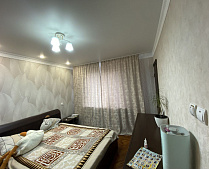 Квартира 2-комнатная с ремонтом в Веселом