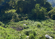 Земельный участок в Адлере Сочи г, Фермерская фото 1