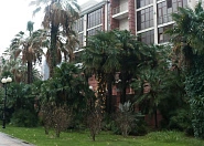 Апартаменты в Сочи с отдельным входом Сочи г, Несебрская фото 12